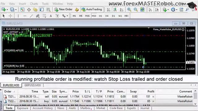 Forex MASTER Robot: 20 pips in 30 seconds