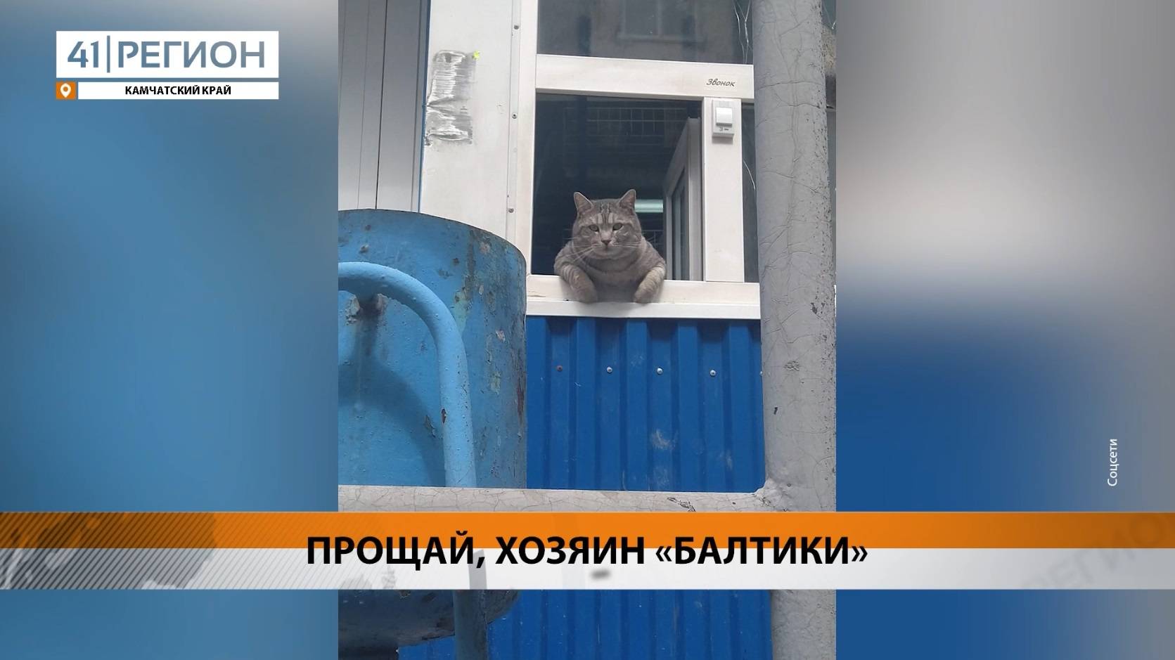 Новости Камчатки за 06 марта 2025 года