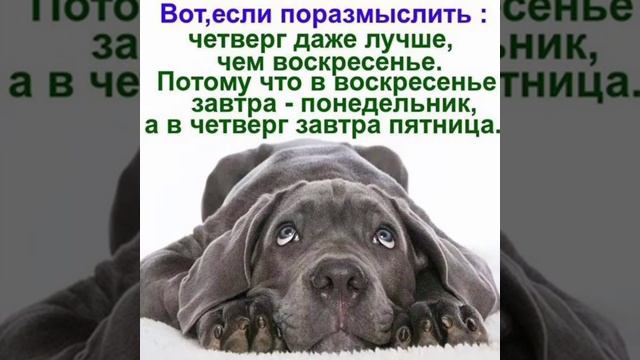 Четверг (моё личное стихотворение)