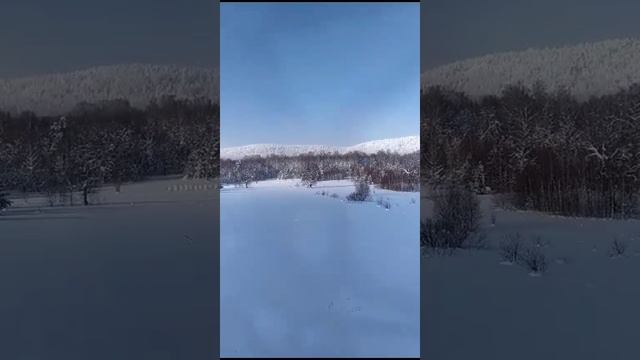 Пасека Дубровских. Условный изолят зимой. Едем проверить улья. Улья под снегом.