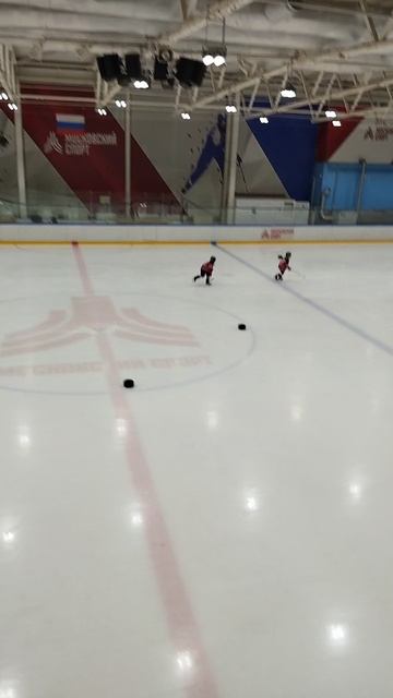 хоккей