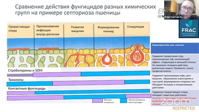 XVII ВЕБИНАР. Картофель: как правильно защитить и накормить