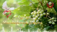 🔴 ▶️ Супер Молдавские Песни 2025. Лучшие песни. Muzica Moldoveneasca 2025 Сборник Музыки.
