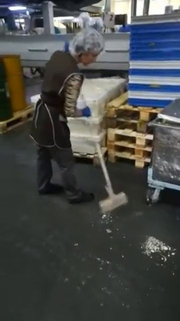 Генеральная уборка на пищевом производстве(2)