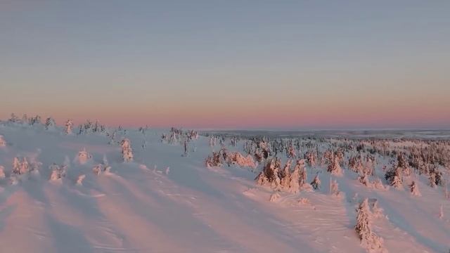 Ледниковый период уже к 2025 году. Ч-1