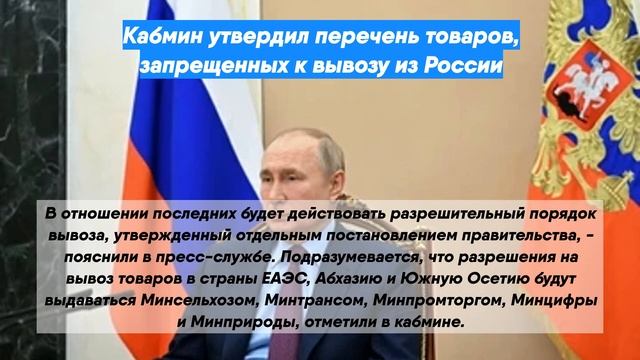 Кабмин утвердил перечень товаров, запрещенных к вывозу из России