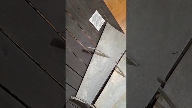 VID_20230121_141138