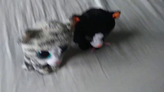 Ограбление банка. Мультфильм Beanie Boos Глазастики TY