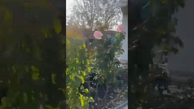 Отзывы о компании "Гарант Строй Юг"