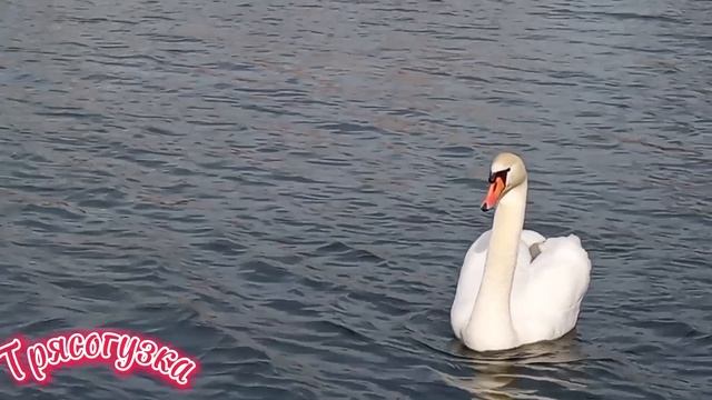 Как в войну на рыбалке!