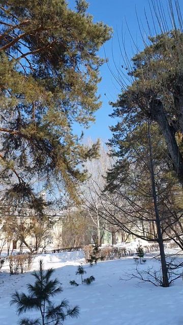 г. Железногорск.  Красноярский край.