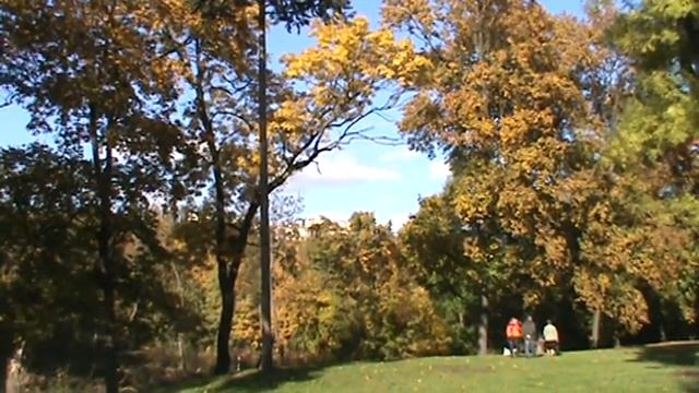 Чешские хрустальные люстры 61