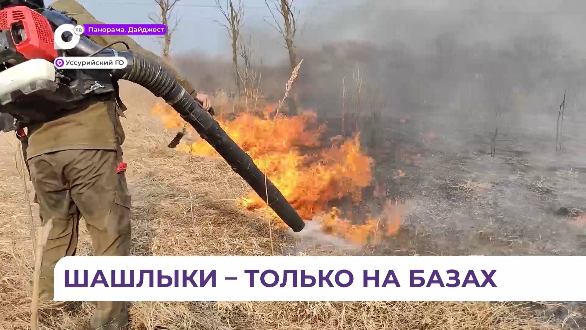 В Уссурийском филиале «Примлес» в режиме реального времени фиксируются все очаги огня