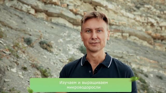 О проекте Bioboost (Биобуст) - производство хлореллы