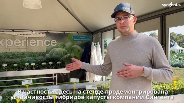 Обзор конференции Fields of Innovation 2022.  Энхаузен, Нидерланды