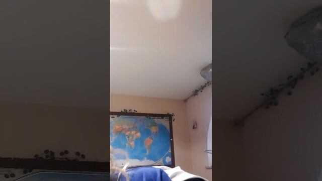 делаю цветы из бумаги