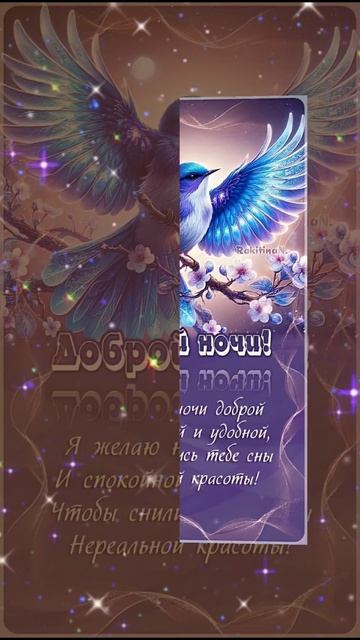 Спокойной ночи!