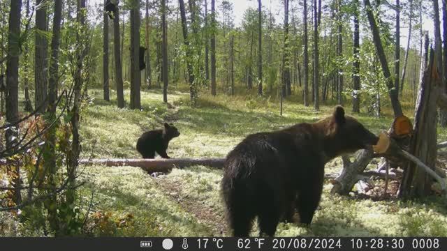 Интервью с научным сотрудником природного парка "Нумто"