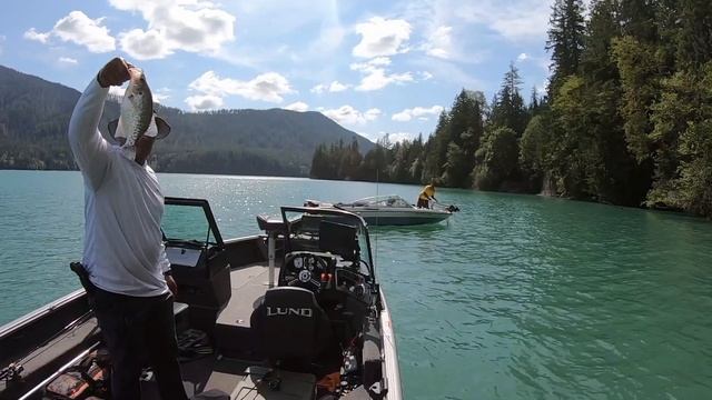 Black Ice Beat down on Alder Lake