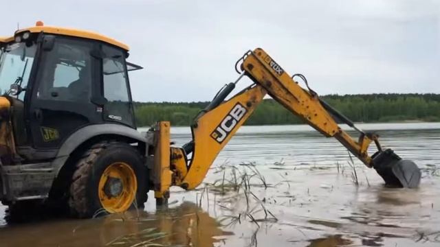 Уборка камышей трактором