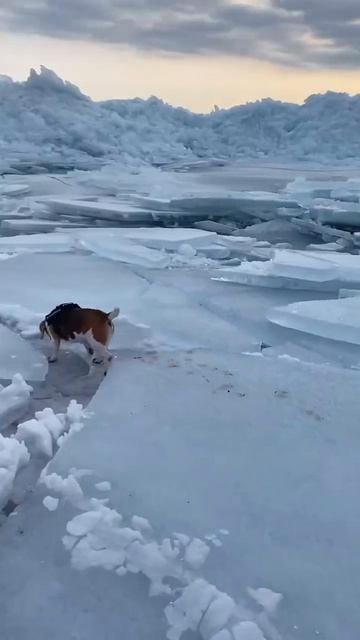 Ледяные волны Краснодарского водохранилища.🧊