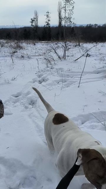 Бандит на просторах матушки земли русской.