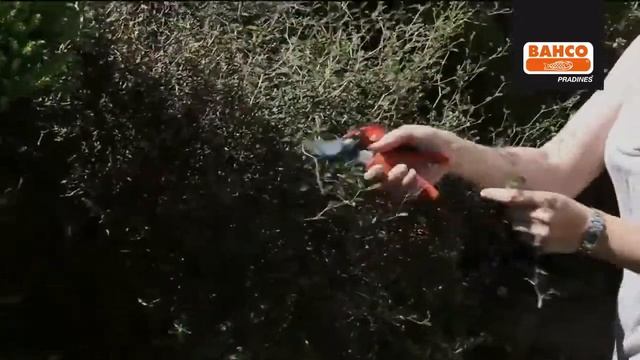 SEKATOR.net | Секатори Bahco, серія PG ERGO