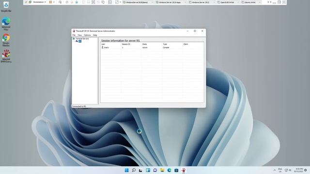 Como Instalar Thinstuff XP/VS Server en Windows 11