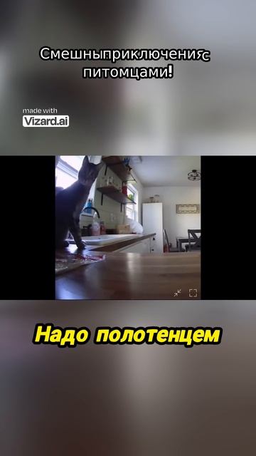 Смешные приключения с питомцами!