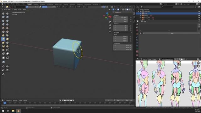 Simplified Basemesh timelapse - *Free Download*