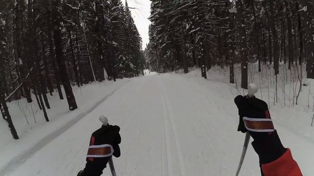 Лыжная гонка в Радужном на призы КССК (24 февраля 2019)