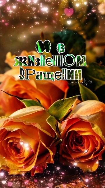 #добрыйвечер