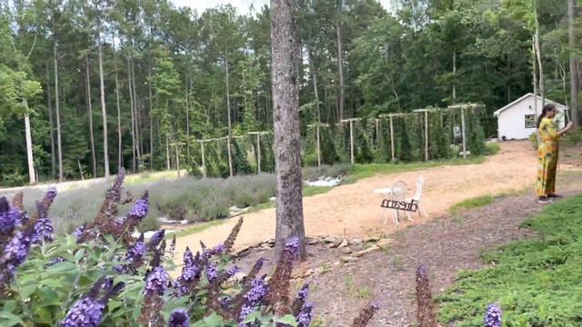 Lavender oaks farm North Carolina|new video with viraj & devanshi