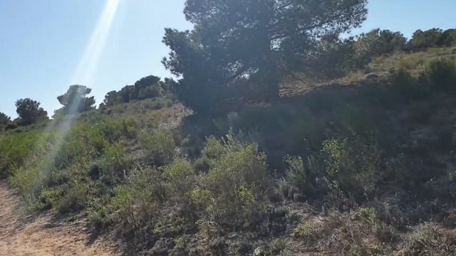 Animal Tracking on the Costa Blanca