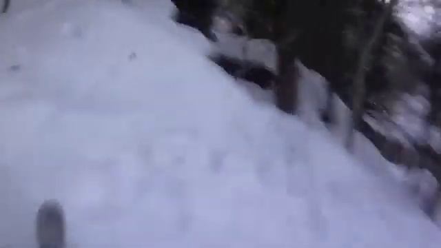 Лопатинг