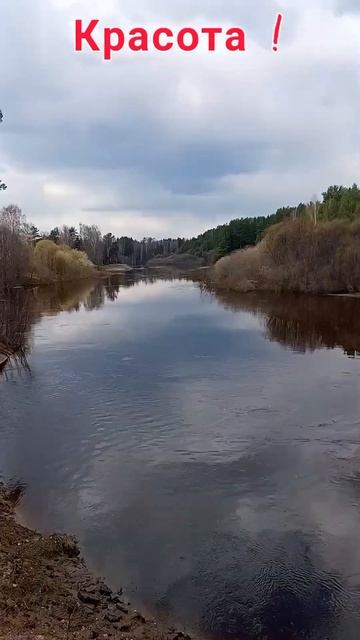 Я на реке . Вода всё подает и падает ! #весна2023