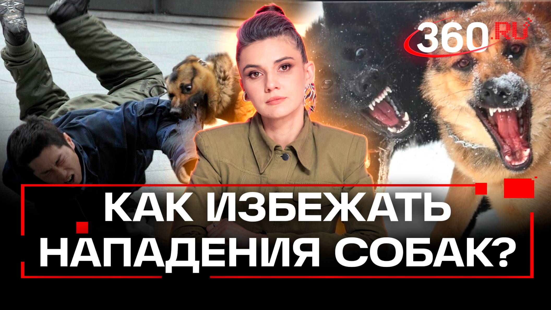 Как уберечь себя от агрессивных собак? Кинологи и дрессированный пес Кодекс в студии 360