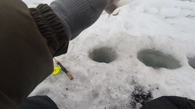 Рыбалка в апреле, обкатка мотобуксировщика Рыбак