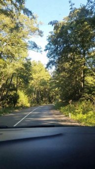 Куршская коса