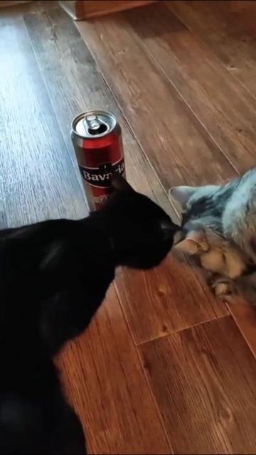 Ура! Выходные!