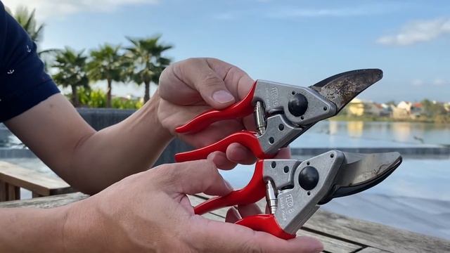 So sánh kéo cắt cành tay trái FELCO 16 với tay phải FELCO 6