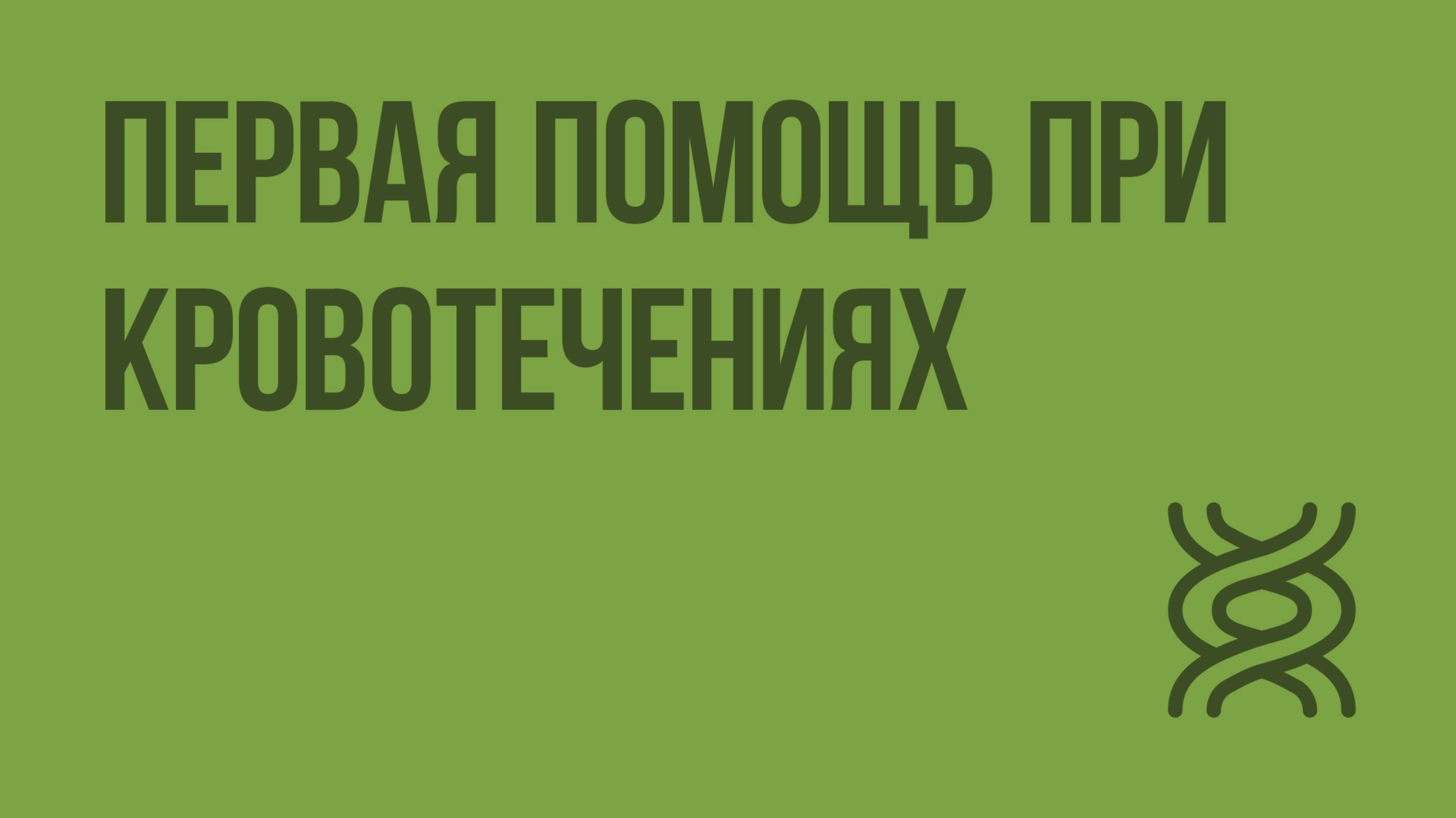 Первая помощь при кровотечениях. Видеоурок по биологии 8 класс