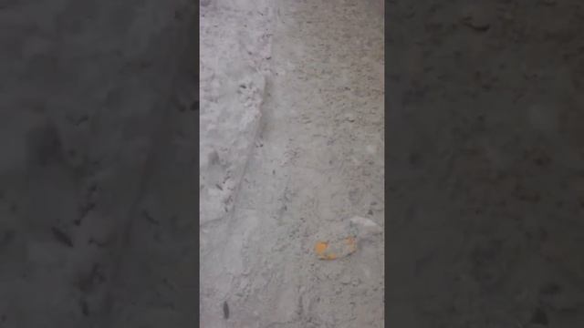 Очерень интересное,  медеуский район