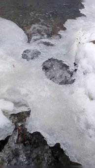 06.03.2025 #сегоднятак #сегодня #природа #nature #oggicosì #бүгін #oggi #hoy #今日 #today #오늘 #자연 #自然