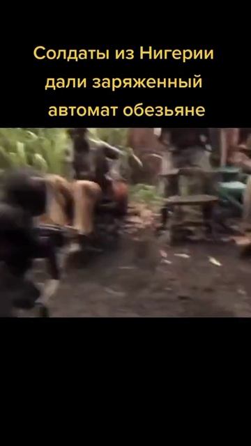 Обезьяна и автомат