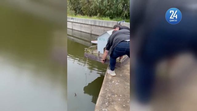 В Сургуте появился коттедж для уточек