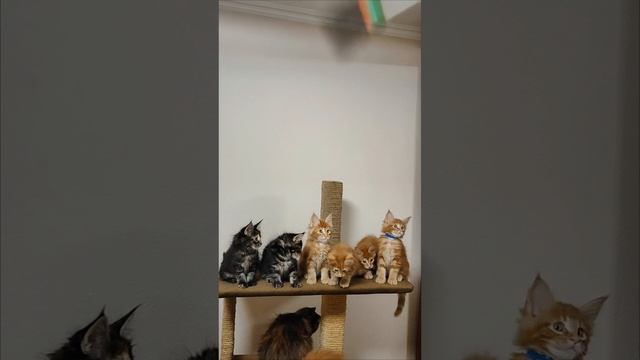 1000026900.mp4
