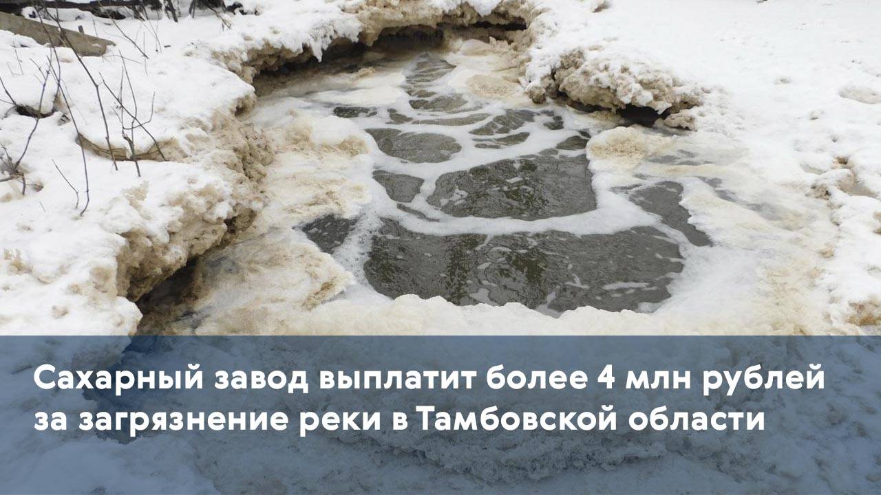 Сахарный завод выплатит более 4 млн рублей за загрязнение реки в Тамбовской области