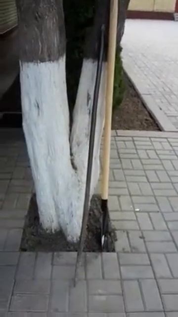 Лопата на субботник