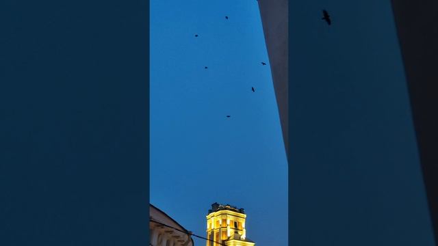 1000310894.mp4